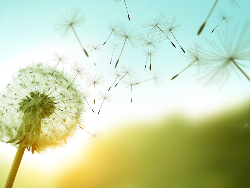 An Introduction to Changing Behaviours