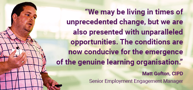 The individual learner